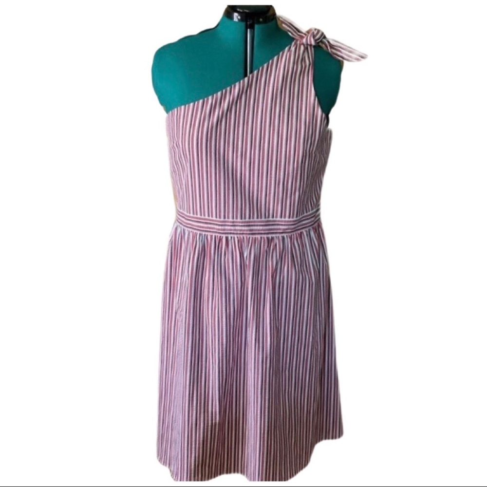 LOFT Shoulder Tie Dress (16)